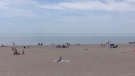 Port Stanley, Ont. beach on May 19, 2021. (Brent Lale/CTV London)