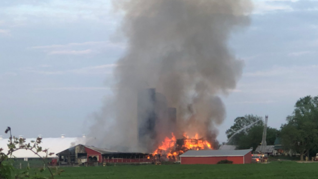 Ottawa Fire dice que más de 80 cabezas de ganado han muerto en el incendio de un gran almacén cerca de Manotik.