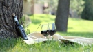 Glasses of wine in a park. (Shutterstock)
