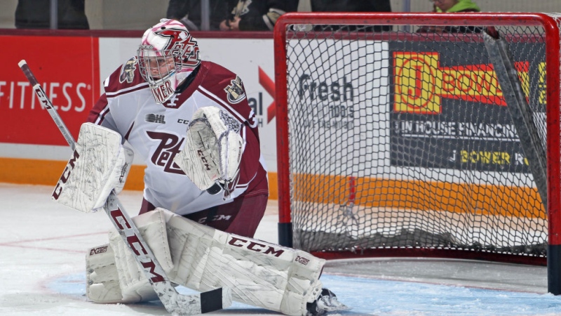 Michael Simpson from London, Ont. is a goalie for the Peterborough Petes in the OHL.  (Source Peterborough Petes)