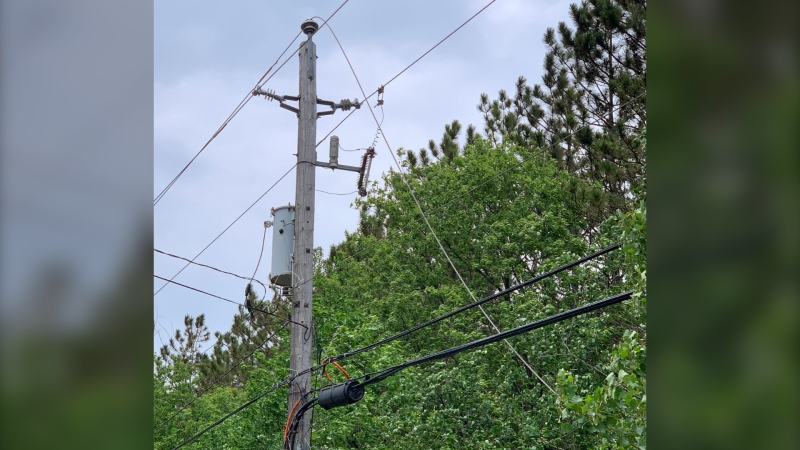 Hydro Ottawa says a downed hydro wire on Rideau Road was responsible for a major power outage in south Ottawa, Tues. May 25, 2021. (Photo courtesy of Hydro Ottawa / Twitter)