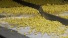 Corn is packaged at the Bonduelle plant in Strathroy, Ont.
