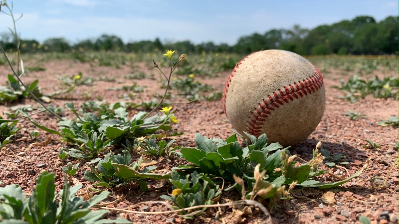 A discarded baseball rests amongst the weeds at a Central Park Baseball diamond in Windsor, Ont. on May 25, 2021. (Rich Garton/CTV Windsor)