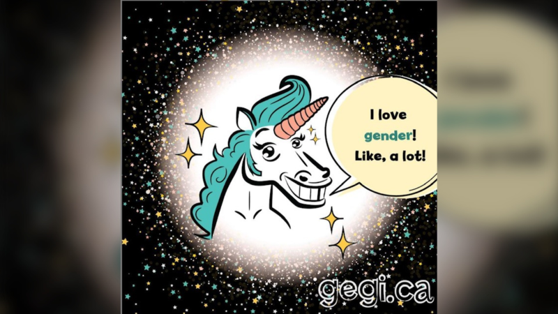Gegi.ca is a new online tool that helps kids, parents, teachers and allies know what their rights are in schools when it comes to gender identity and diversity. (Photo courtesy: Instagram/Gegi.ca)