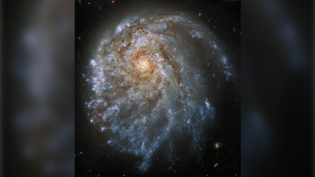 NGC 2276 galaxy