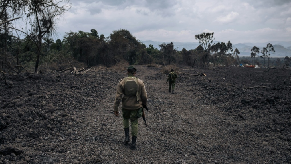 Virunga National Park AFP