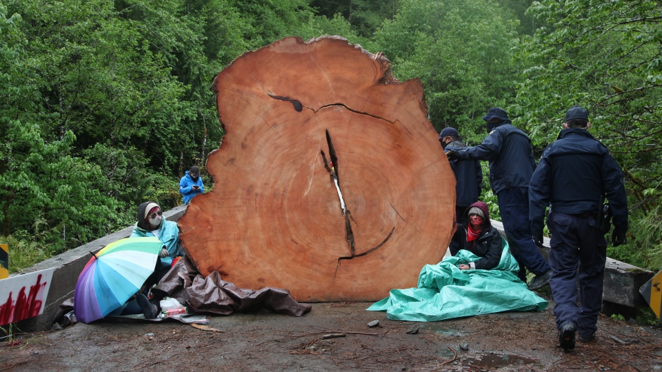 Logging protest