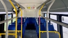 The interior of a Winnipeg Transit bus (Source: Scott Andersson/ CTV News Winnipeg)