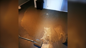 Cement is seen filling up Kaitlin Bialek's basement after a leak which impacted around a dozen houses on May 29, 2021. (Source: Kaitlin Bialek)