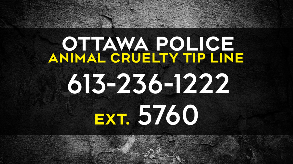 Ottawa Police Animal Cruelty Tip Line