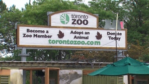 The Toronto Zoo is seen in this undated photo.