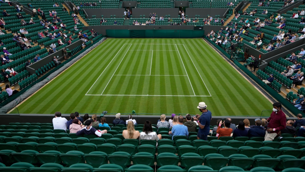 Wimbledon spectators