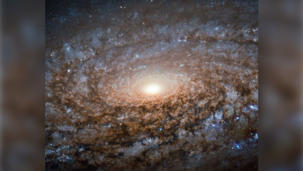 Flocculent spiral galaxy NASA