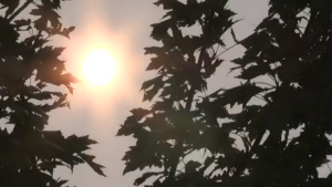A haze covers the sun. (Dave Sullivan/CTV)