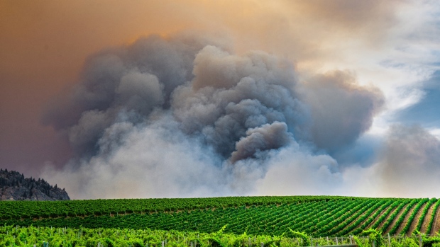Oshous, BC.  Más viento sopla los incendios forestales más cerca de los países vecinos