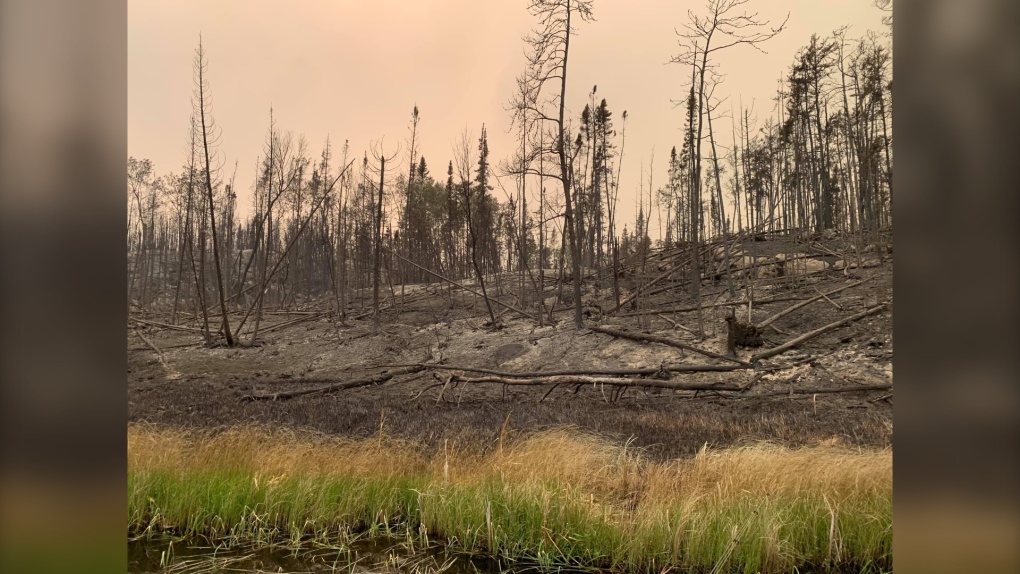 Manitoba First Nations Power Outage Likely Caused by Forest Fire Damage