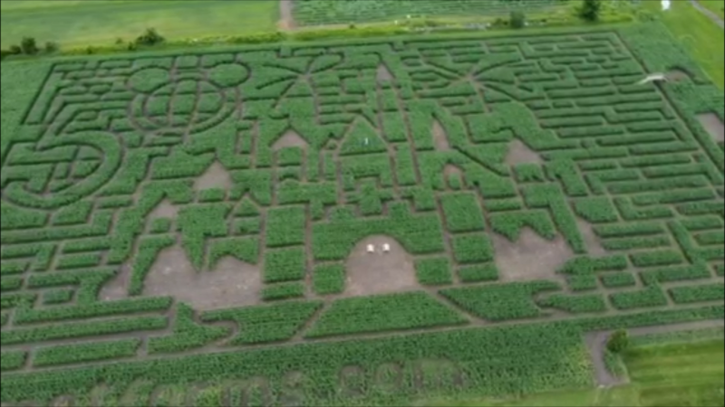 An overhead view of the corn maze at Ouimet Farms Adventure. (Image: Ouimet Farms Adventure)