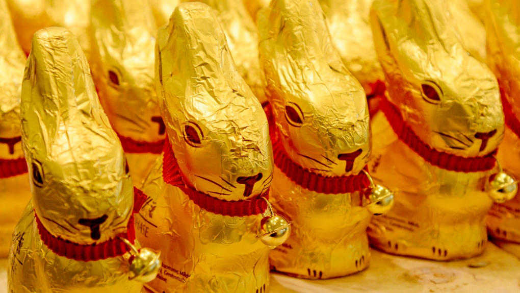 chocolate Easter bunnies 