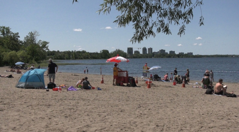 Residents take advantage of the sunshine at Westboro beach on Colonel By Day Monday, despite the possibility of a fourth wave of COVID-19 with the Delta variant surging in different parts of the world. (Colton Praill/CTV Ottawa, August 2, 2021) 