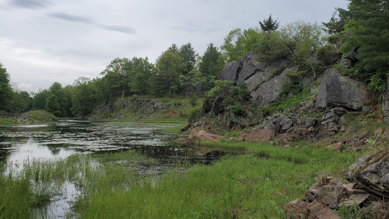 The Nature Conservancy of Canada says an 83-hectare property about 40 km north of Kingston, Ont., known as the Frontenac Arch Natural Area, is now considered protected land. (Photo courtesy of Nature Conservancy of Canada)