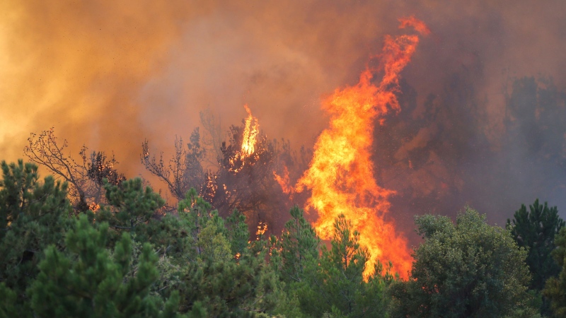 A wildfire rages the forest in Koycegiz, Mugla, Turkey, Monday, Aug. 9, 2021. (AP Photo/Emre Tazegul)