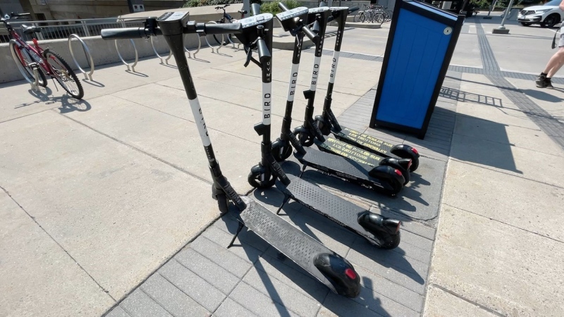 Bird is one of three e-scooter providers in Ottawa. (Peter Szperling/CTV News Ottawa)