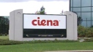 U.S.-based Ciena came out the winner of a three-day auction to buy Nortel's optical unit.