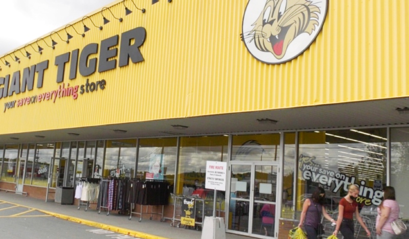 The organizers of Keeping Seniors Warm is hosting a fundraising event called 'Round It Up' at Giant a Tiger on Lasalle Boulevard. (Molly Frommer/CTV News)