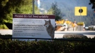 A sign warning people not to feed wildlife is seen at Stanley Park after numerous people have been attacked by coyotes, in Vancouver, on Thursday, Sept. 2, 2021. (Darryl Dyck / THE CANADIAN PRESS)