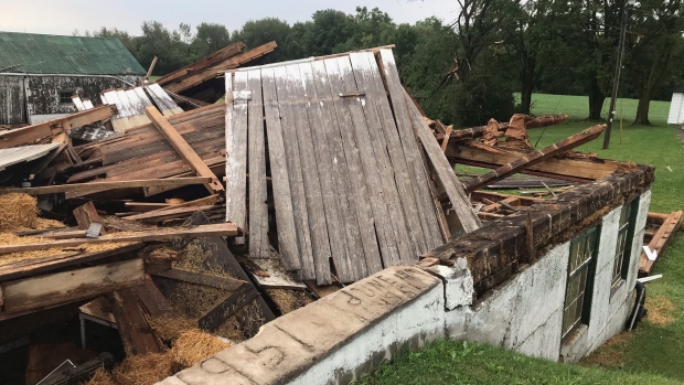 Storm damage in the Ailsa Craig, Ont.-area is seen on Monday, Sept. 13, 2021. (Sean Irvine / CTV News)