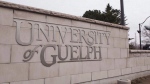 The University of Guelph in Guelph, Ontario is shown on Friday March 24, 2017. THE CANADIAN PRESS/Hannah Yoon 