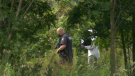 Police in Smiths Falls, Ont. say a body was discovered in a wooded area along William Street West. Local police and the OPP are investigating. Sept. 21, 2021. (Nate Vandermeer / CTV News Ottawa)