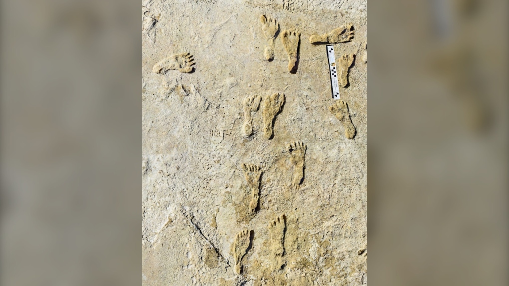 fossilized human fossilized footprints 