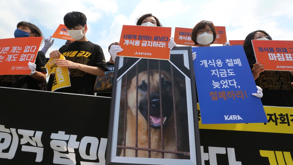South Korean animal rights activists