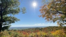 A look at the fall colours at Huron Lookout in Gatineau Park. (Peter Szperling/CTV News Ottawa)