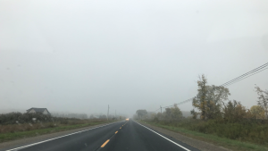 Fog advisories are in place on Vancouver Island Thursday morning and evening: (Justin Rydell/CTV News)