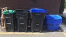A new garbage and recycling bin program is rolling out in Simcoe County. (Rob Cooper/CTV News)