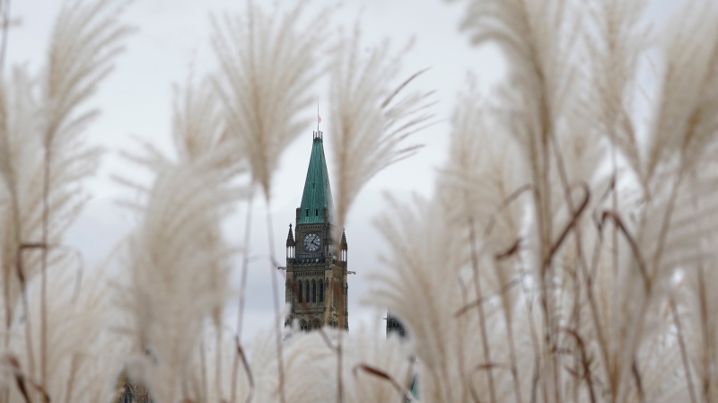 The Peace tower is seen through rushes in Ottawa, Oct. 18. 2021. (Adrian Wyld/THE CANADIAN PRESS)