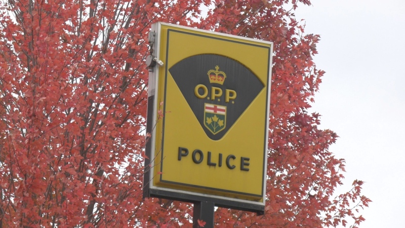 The OPP Detachment in Arnprior, Ont. (Dylan Dyson/CTV News Ottawa)