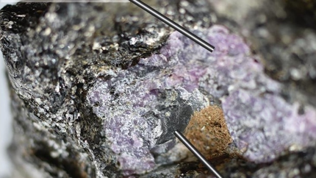 Evidence of ancient life discovered in some of the world's oldest rubies: study