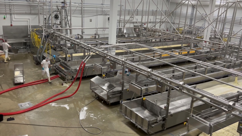 Cheese production at the St-Albert Cheese Co-op. Oct. 26, 2021. St-Albert, Ont. (Tyler Fleming / CTV News)