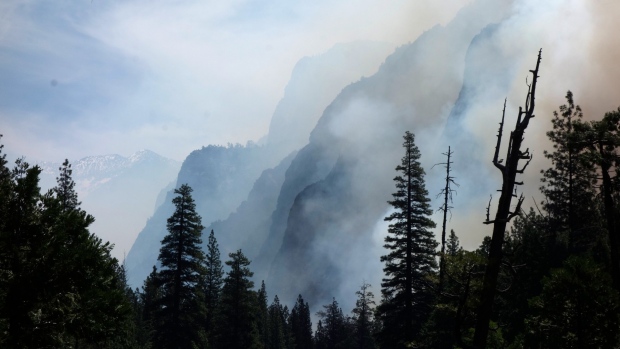 Dieci foreste dell’UNESCO emettono più anidride carbonica di quanta ne assorbono: Studio