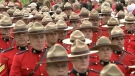 The Alberta government has announced details of an initial report on replacing the province's RCMP with a provincial police service.