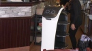 BellaBot is the latest hire at La Beuna Dejeuner restaurant in Gatineau. The robot helps carry up to eight big plates, easing workload on servers.  (Leah Larocque/CTV News Ottawa)