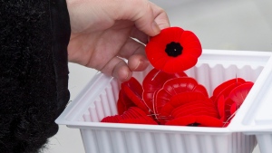 FILE - A woman purchases a poppy in Ottawa on Friday, Nov. 7, 2014. THE CANADIAN PRESS/Justin Tang 