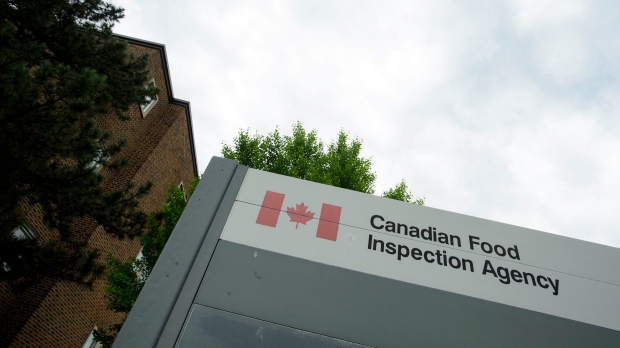 Wabah salmonella Kanada: PHAC mengatakan beberapa provinsi terpengaruh