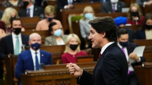 Prime Minister Justin Trudeau rises during question period in the House of Commons on Parliament Hill in Ottawa on Wednesday, Nov. 24, 2021. THE CANADIAN PRESS/Sean Kilpatrick 