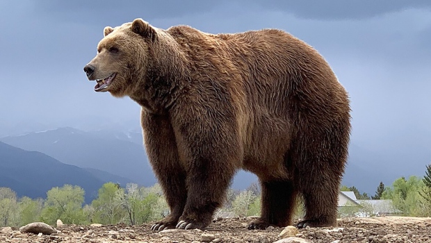 Aktor beruang ‘Game of Thrones’ meninggal