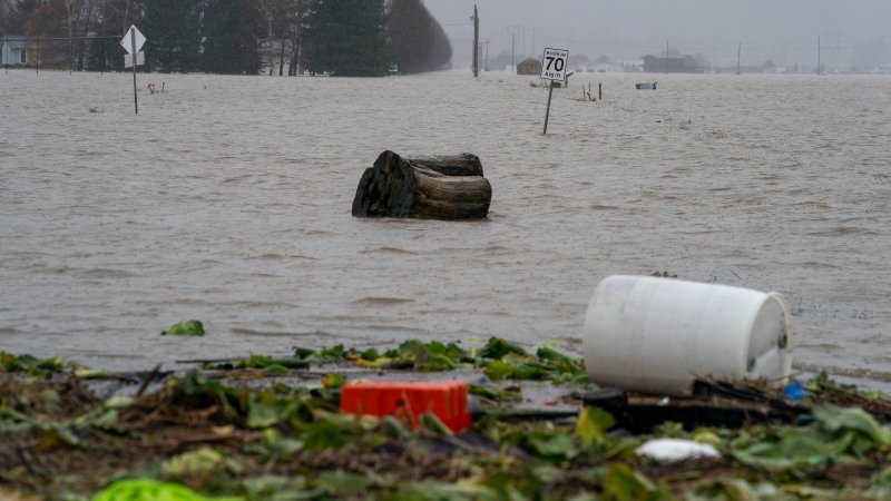 B.C. weather: Flood watch, evacuation alert issued as more rain falls