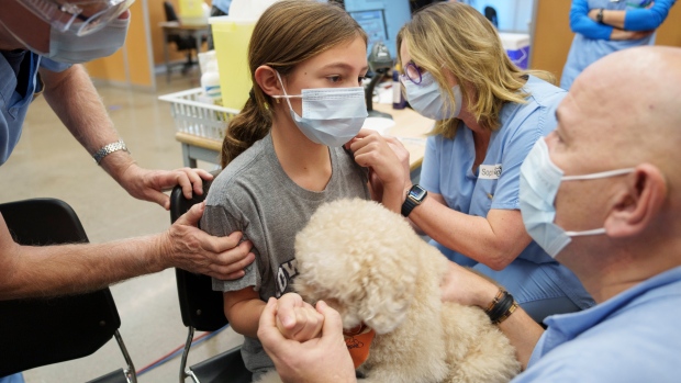 Anjing terlatih mengunjungi klinik vaksin COVID-19 untuk mengalihkan perhatian orang yang gugup dari jarum suntik